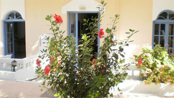Sirena Apartments Agia Pelagia Eksteriør billede